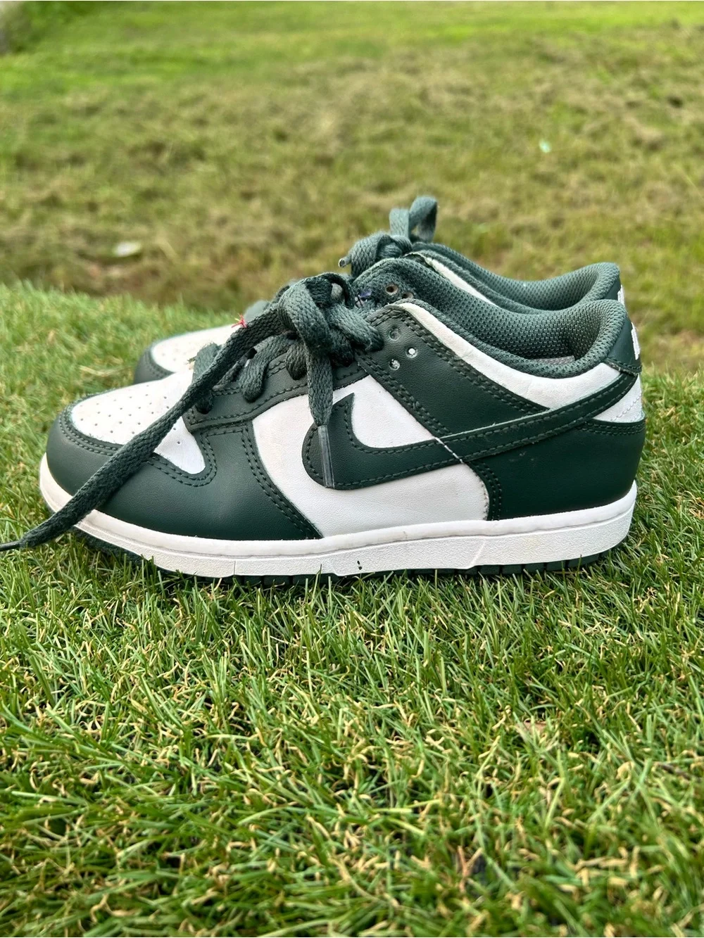 Nike 120 dunk